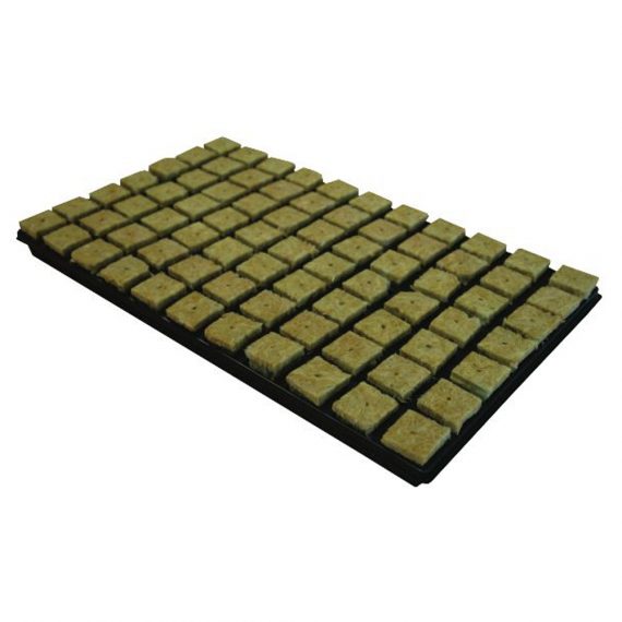 Rockwool cubes tray of 77