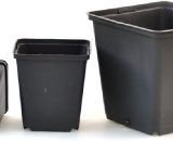Picture of black 1ltr plant pots