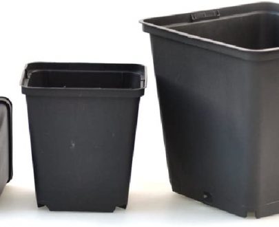 Picture of black 1ltr plant pots
