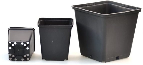 Picture of black 1ltr plant pots