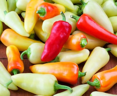 Santa fe Grande chilli SEEDS (approximately 20 seeds)