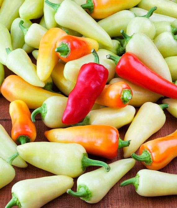 Santa fe Grande chilli SEEDS (approximately 20 seeds)